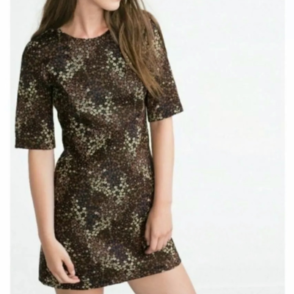 Zara Trafaluc brown floral brocade mini dress Sz M